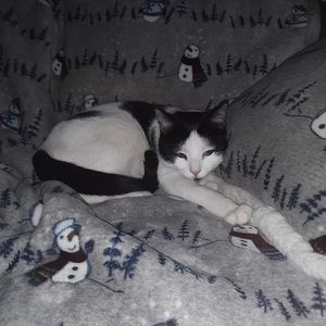 Meet your Posher, Elaine